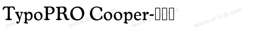 TypoPRO Cooper字体转换